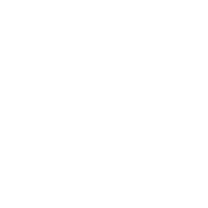 波フェス2024